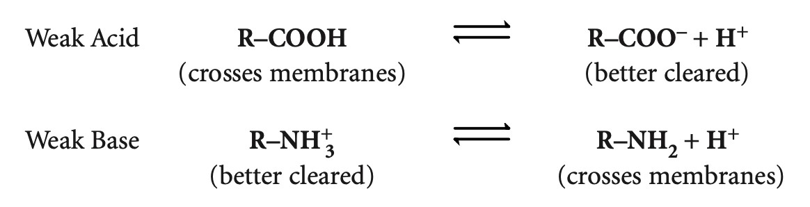 Figure 3. Ionization