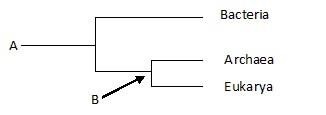 biology-ch1-Q11