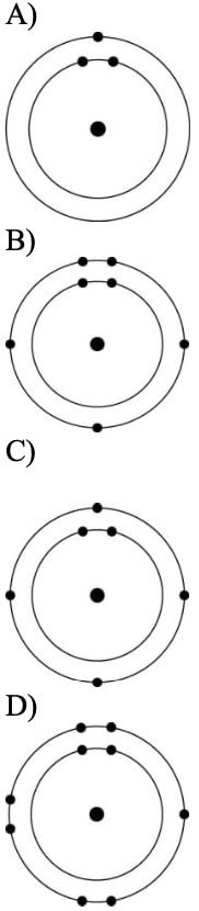 biology.ch2_.Q19