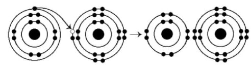 biology.ch2_.Q38