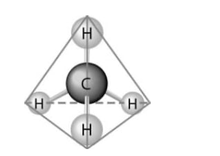 biology.ch2_.Q39