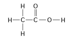 biology.ch3_.-Q22