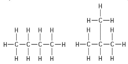 biology.ch4_.q17