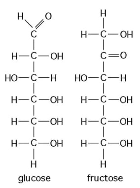 biology.ch4_.q18