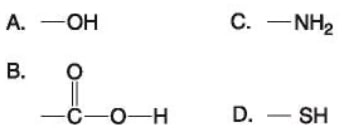 biology.ch4_.q36