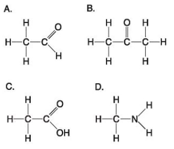 biology.ch4_.q42