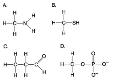 biology.ch4_.q49