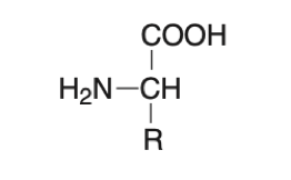 biochemistry lesson 1 image 1 